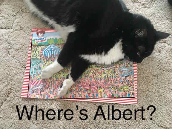 Where-is-Albert-2018-web